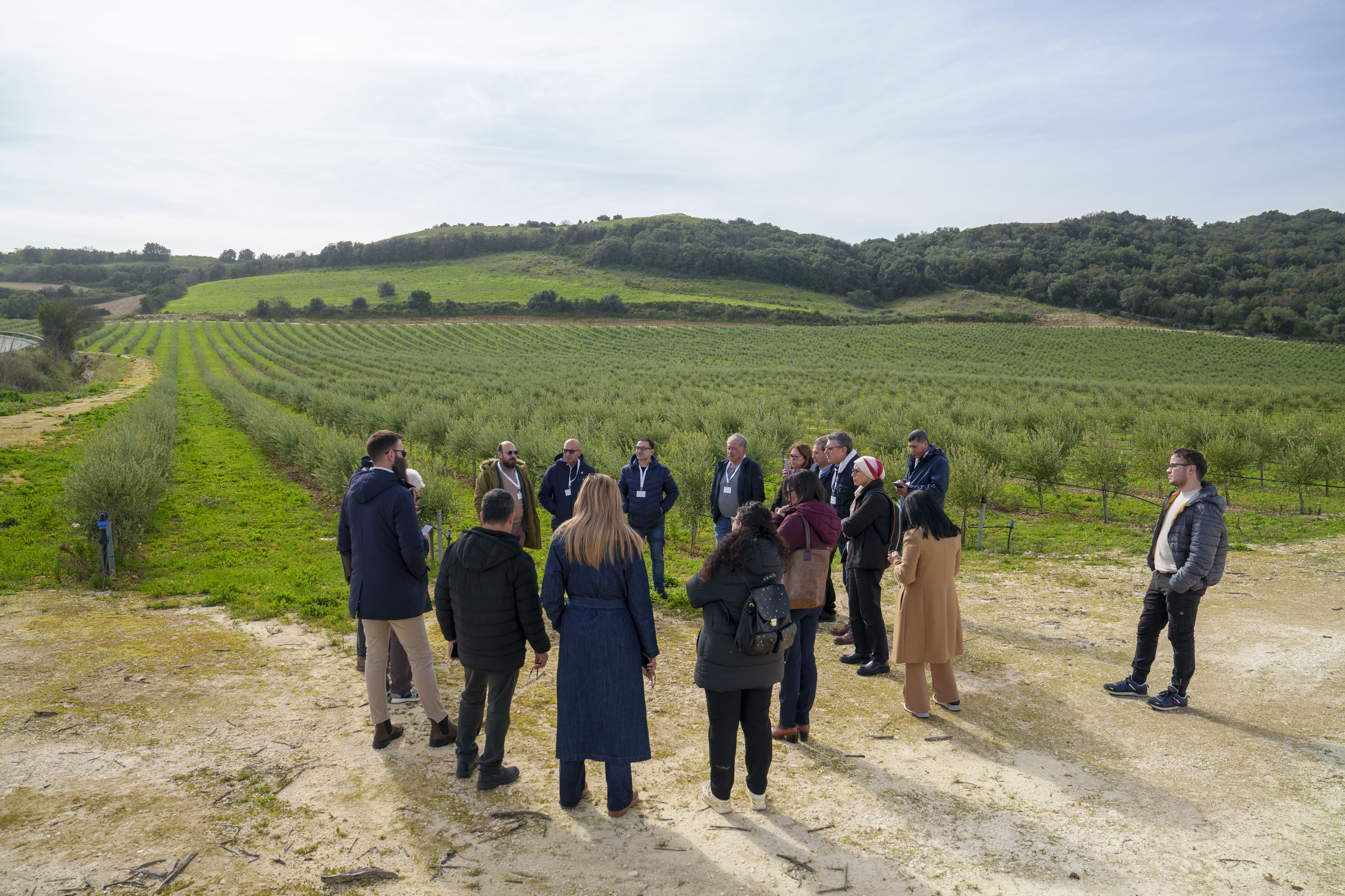 gruppo di volontari Citizen Science