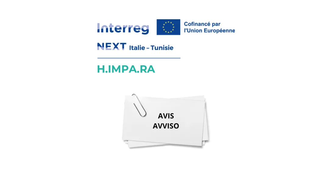 himpara avis